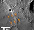 Searching for Evidence of Extension on Mercury