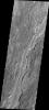 Some of the youngest volcanic flows on Mars are from Arsia Mons. This image captured by NASA's 2001 Mars Odyssey of Daedalia Planum shows some of these flows.