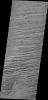 This image from NASA's 2001 Mars Odyssey is located south of Olympus Mons and east of Gordii Dorsum, in a heavily wind eroded region. The winds are predominately east/west in this area.
