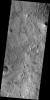The dark lines in this image from NASA's Mars Odyssey are the tracks of dust devils in this region of Arcadia Plainitia. As the swirling winds move along the surface, they remove the dust cover, revealing the darker rock beneath.