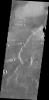 This image from NASA's Mars Odyssey shows lava flows of Alba Mons and windstreaks behind craters in the area. Windstreak tail directions indicate winds from the East and East-Northeast.