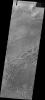 The sand dunes in this image from NASA's Mars Odyssey are located on the floor of Russell Crater.