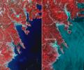 This before-and-after image pair acquired by NASA's Terra spacecraft of the Japan coastal cities of Ofunato and Kesennuma reveals changes to the landscape that are likely due to the effects of the tsunami on March 11, 2011. The new image is on the left.