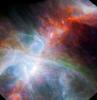 NASA's Spitzer Space Telescope and ESA's Herschel mission combined to show this view of the Orion nebula, found below the three belt stars in the famous constellation of Orion the Hunter, highlights fledgling stars hidden in the gas and clouds.