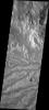 The network of channels seen in this image captured by NASA's Mars Odyssey spacecraft is called Arda Valles.