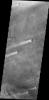 This image of windstreaks from NASA's 2001 Mars Odyssey spacecraft indicates winds from the ENE in the region of Syrtis Major Planum.