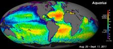 NASA's Aquarius instrument has produced its first global map of the salinity, or saltiness, of Earth's ocean surface, providing an early glimpse of the mission's anticipated discoveries.