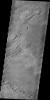 The main agent of erosion on Mars today is the wind. Wind has sculpted the surface in this region into a set of hills and valleys called yardangs on Earth. This image is from NASA's 2001 Mars Odyssey spacecraft.