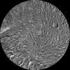 The northern and southern hemispheres of Saturn's moon Mimas are seen in these polar stereographic maps, mosaicked from the best-available NASA's Cassini and Voyager images.