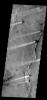 The windstreaks in this image from NASA's 2001 Mars Odyssey spacecraft are located in Syrtis Major Planum between Nili and Meroe Paterae.