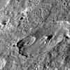 Complex Craters