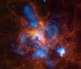 About 2,400 massive stars in the center of 30 Doradus, the Tarantula Nebula, produce intense radiation and powerful winds as they blow off material seen as infrared emission from NASA's Spitzer Space Telescope and X-rays from Chandra X-ray Observatory.
