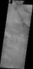 The windstreak is this image from NASA's 2001 Mars Odyssey spacecraft is located on the volcanic flows of Daedalia Planum.