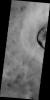 The dust devil tracks in this image captured by NASA's 2001 Mars Odyssey spacecraft are located in Utopia Planitia on Mars.