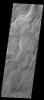 The lava flows in this image captured by NASA's 2001 Mars Odyssey spacecraft are part of Daedalia Planum on Mars, the immense plain of flows from Arsia Mons.