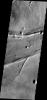 The linear and circular features in this image from NASA's Mars Odyssey spacecraft are all volcanic and are located at the base of the southern flank of Ascraeus Mons on Mars.