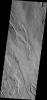 The channels in this image from NASA's Mars Odyssey spacecraft are located on the western flank of Alba Mons on Mars.