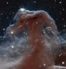 Backlit wisps along the Horsehead Nebula's upper ridge are being illuminated by Sigma Orionis, a young five-star system just off the top of this image from the Hubble Space Telescope.