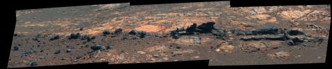 Rock fins up to about 1 foot (30 centimeters) tall dominate this false color scene from the panoramic camera (Pancam) on NASA's Mars Exploration Rover Opportunity.