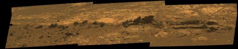 Rock fins up to about 1 foot (30 centimeters) tall dominate this approximate true color scene from the panoramic camera (Pancam) on NASA's Mars Exploration Rover Opportunity.