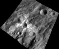 This image from NASA's Dawn spacecraft features the distinctive crater Canuleia on the giant asteroid Vesta. Canuleia, about 6 miles (10 kilometers) in diameter, is distinguished by the rays of bright material that streak out from it.