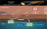 If the atmosphere of Mars contains methane, various possibilities have been proposed for where the methane could come from and how it could disappear.