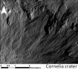 This image shows a close-up of long, narrow, sinuous gullies that scientists on NASA's Dawn mission have found on the giant asteroid Vesta. The crater shown here is called Cornelia.