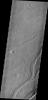 This image from NASA's 2001 Mars Odyssey spacecraft shows the Tharsis plains contains numerous channels, which were likely created by the flow of lava.