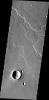 The unnamed channels in this image from NASA's 2001 Mars Odyssey spacecraft are located southeast of Albor Tholus.