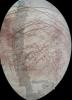 This view of Jupiter's moon Europa features several regional-resolution mosaics overlaid on a lower resolution global view for context. The regional views were obtained during several different flybys of the moon by NASA's Galileo mission.