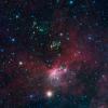 Dozens of newborn stars sprouting jets from their dusty cocoons have been spotted in images from NASA's Spitzer Space Telescope. This view shows a portion of sky near Canis Major.
