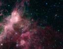 In what may look to some like an undersea image of coral and seaweed, a new image from NASA's Spitzer Space Telescope is showing the birth and death of stars.