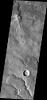 The channels in this image captured by NASA's 2001 Mars Odyssey spacecraft show draining from Coracis Fossae toward Bosporos Planum.