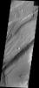 NASA's 2001 Mars Odyssey spacecraft imaged Mars' surface and spies what looks like a bug. This image is part of the THEMIS as Art series.