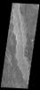 This image from NASA's 2001 Mars Odyssey spacecraft shows part of the extensive lava flows that make up Daedalia Planum.