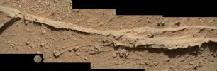 This mosaic of four images from NASA's Mars rover Curiosity shows detailed texture in a ridge that stands higher than surrounding rock. The rock is at a location called 'Darwin,' inside Gale Crater.