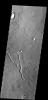 The channels in this image captured by NASA's 2001 Mars Odyssey spacecraft are located in Elysium Planitia and were likely created by lava flow.