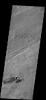 The two dark windstreaks in this image from NASA's 2001 Mars Odyssey spacecraft are located on the extensive lava plains of Daedalia Planum.