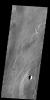 The flows in this image captured by NASA's 2001 Mars Odyssey spacecraft originated at Alba Mons.