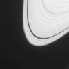 The disturbance visible at the outer edge of Saturn's A ring in this image from NASA's Cassini spacecraft could be caused by an object replaying the birth process of icy moons.