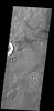 The small channel and lava flows in this image NASA's 2001 Mars Odyssey spacecraft are located northeast of Olympus Mons.