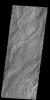 This image shows lava flows from Alba Mons as seen by NASA's 2001 Mars Odyssey spacecraft.