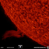 NASA's Solar Dynamics Observatory shows that a solar prominence rose up above the Sun's surface, twisted and spun around, then became elongated and broke away. (Oct. 24-25, 2018).