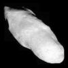 Saturn's potato-shaped moon Prometheus is shown in this close-up from NASA's Cassini spacecraft.