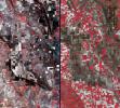Stark effects of a California drought on agriculture can be clearly seen in these two February images acquired in 2014 and 2003 by NASA's Terra spacecraft.