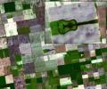 Located in the fertile agricultural region of Argentina's Pampas is a guitar-shaped forest made up of cypress and eucalyptus trees as seen by NASA's Terra spacecraft.