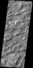 This image captured by NASA's 2001 Mars Odyssey spacecraft shows a portion of Lycus Sulci, a complex region of ridges located on the northern side of Olympus Mons. The term sulci means subparallel furrows and ridges.