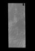 This image from NASA's 2001 Mars Odyssey spacecraft shows part of Aspledon Undae, one of several dune fields near the north pole. The term Undae means dunes.