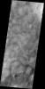 This image captured by NASA's 2001 Mars Odyssey spacecraft show the dark marks left behind after the passage of a dust devil cover this region of Utopia Planitia.