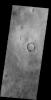 The numerous dust devil tracks in this image captured by NASA's 2001 Mars Odyssey spacecraft are located in Utopia Planitia.